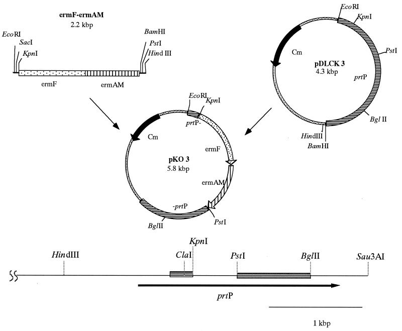 FIG. 1