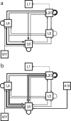 Fig. 9