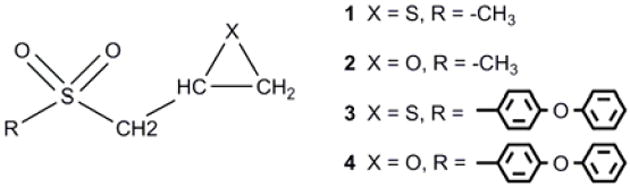 Scheme 2