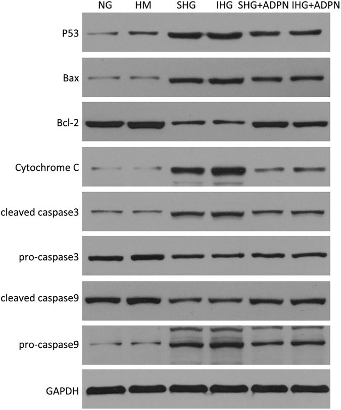 Fig 7