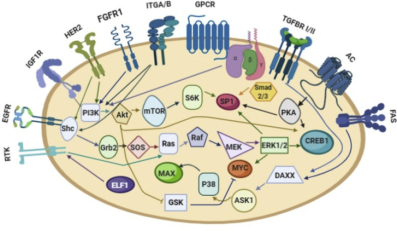 Fig. 3B