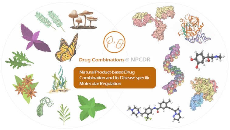 Graphical Abstract