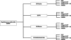 Fig. 12