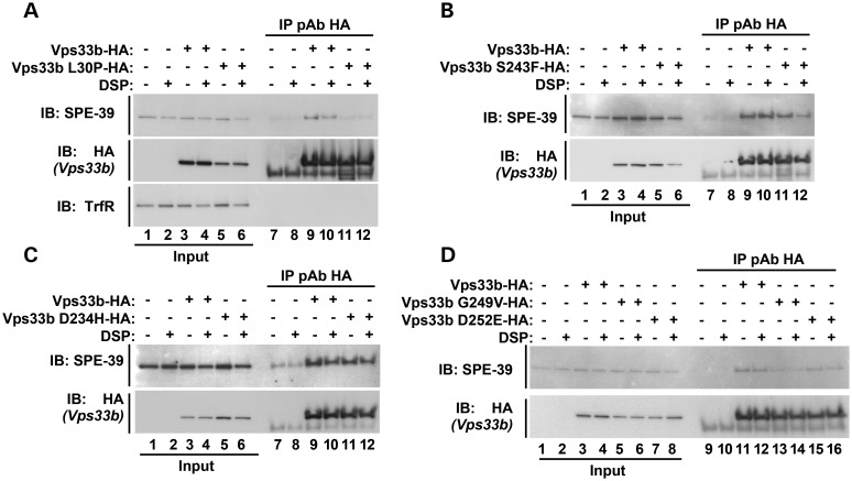 Figure 3.