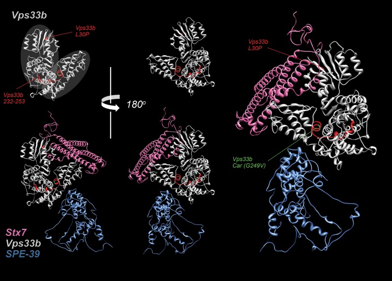 Figure 5.