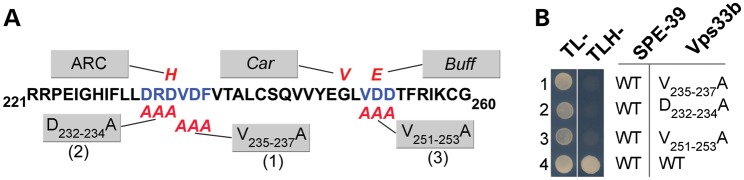 Figure 6.