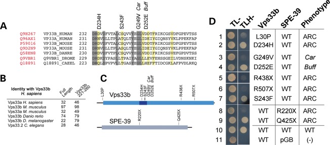 Figure 2.