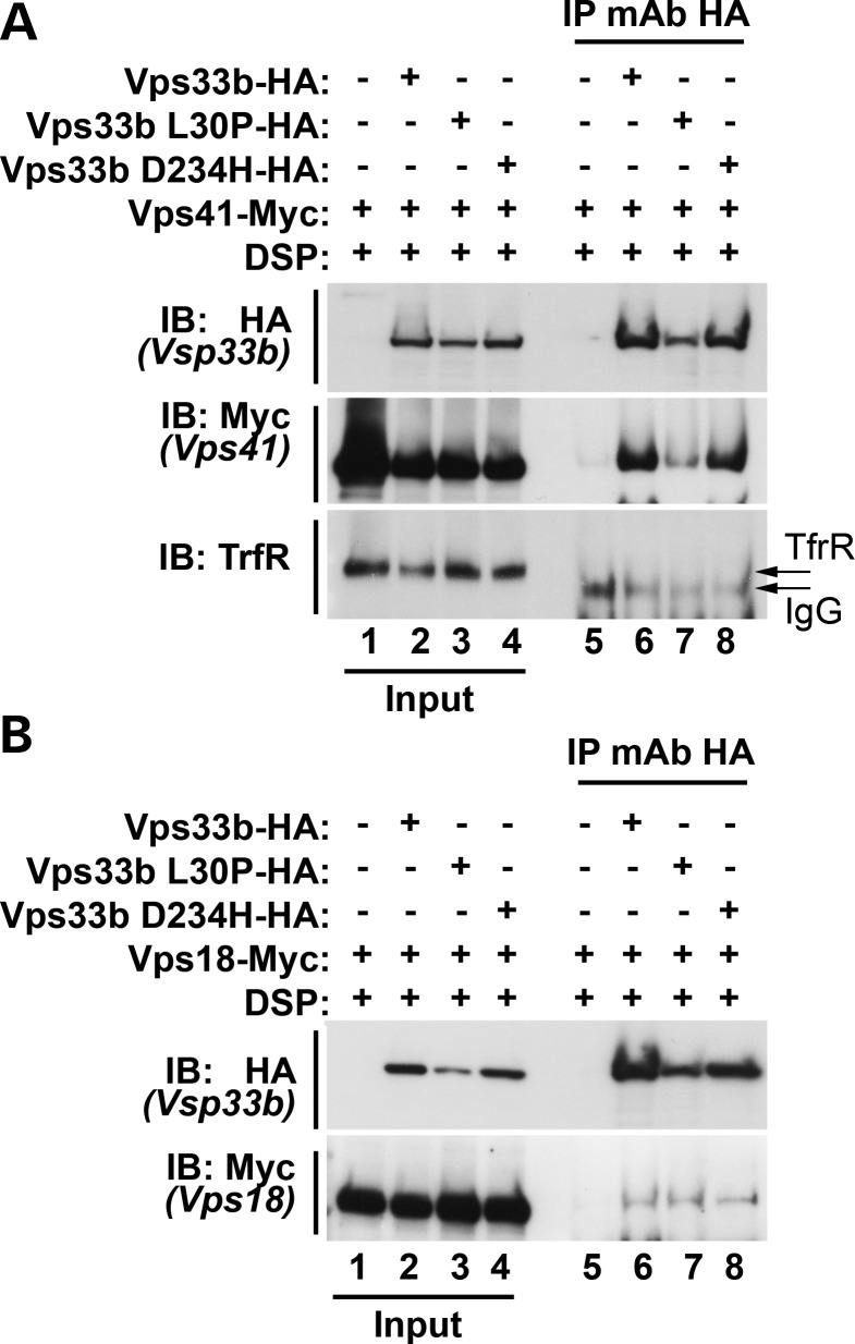 Figure 4.