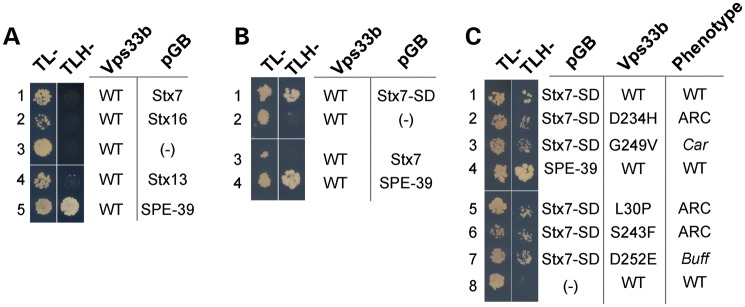 Figure 7.