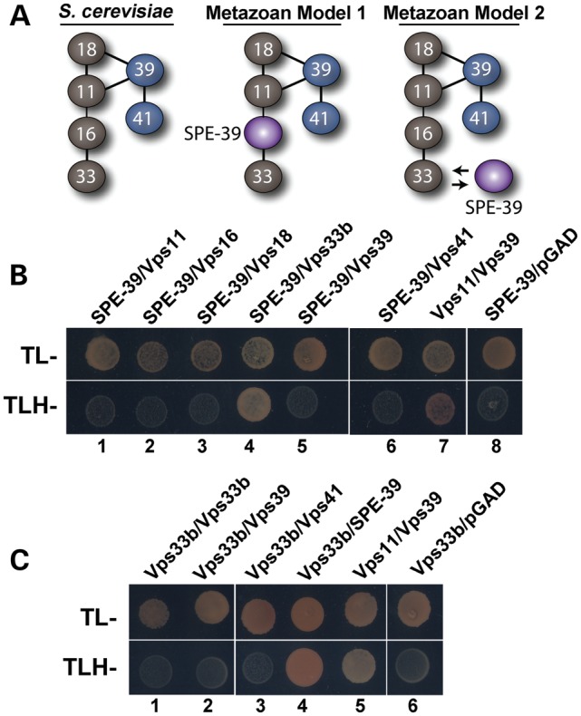 Figure 1.