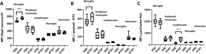 Fig. 8. Pan-SHIP1/2 inhibition in vivo increases the phagocytic capacity of microglia for both Aβ1-42 and dead neurons. (A–C) Single-cell suspensions of cerebral cortexes as described in Fig. 7 were used to measure uptake of Aβ1-42-FITC, dead PI-labeled neurons or staining of LysoTracker Red by using the assay conditions established for BV-2 cells and primary microglia. Box and whisker plots indicate the mean uptake of Aβ1-42-FITC (A), dead PI-labeled neurons (B) or staining with LysoTracker Red (C) for the indicated cerebral cortical cell population in either K161-treated or H2O-treated mice after gating on live single cells, and surface markers CD11b, CD45 and/or ACSA2 as indicated. Statistical tests: Brown-Forsythe and Welch's ANOVA or two-tailed t-test with Welch's correction. *P<0.05, ****P<0.0001. Error bars indicate min to max.