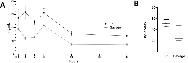 Fig. 6. Pharmacokinetics data of K161 levels in blood and brain from BL6 mice. (A,B) Mass spectrometry quantification of K161 levels in either the blood plasma (A; [ng/ml]) or the cerebral cortex (B [ng/cortex]) calculated as ng of K161 in the total cortex, after i.p. injection or oral gavage of the inhibitor. Blood was harvested and the concentration of K161 measured at times after treatment with K161 as indicated in A (n=6/group) or 48 h after treatment with K161 for cerebral cortex samples in B (n=3/group). Error bars indicate the s.e.m. (A), min to max (B).