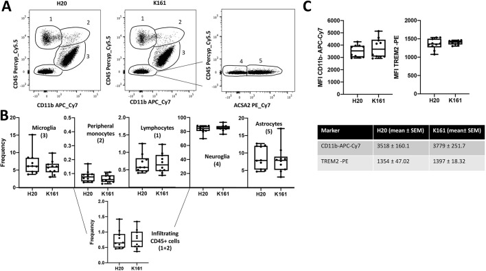 Fig. 7. Pan-SHIP1/2 inhibition in vivo does not alter the frequency of major cell populations in the cerebral cortex. (A,B) Single-cell suspensions of cerebral hemispheres were prepared from mice treated for 3 weeks (twice/week) with K161 (10 mg/kg) or vehicle and analyzed by flow cytometry (n=10/group). (A) Representative contour plots of live gated single-cell populations 1–5, based on staining for CD11b, CD45 and/or ACSA2. (B) Box and whisker plots of frequency of the indicated cell population based on the gated populations 1–5 as defined in A, and total CNS-infiltrating CD45+ cells. (C) Scatter plots showing the mean fluorescence intensity (MFI) for CD11b and TREM-2 on CD11b+CD45low microglia in K161-treated or vehicle-treated mice. The mean fluorescence intensity values and standard deviation of the mean for both CD11b and TREM2 in each group are provided below. Statistics: two-tailed t-test with Welch's correction. Error bars indicate min to max.