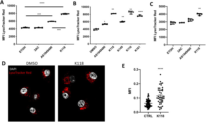 Fig. 3. Pan-SHIP1/2 inhibition increases microglial lysosomal compartment size. (A) Flow cytometry assay of LysoTracker Red staining on BV-2 cells treated for 16 h with the selective SHIP1 inhibitor (3AC), selective SHIP2 inhibitor (AS1949490) or the pan-SHIP1/2 inhibitor K118. (B) Flow cytometry assay of LysoTracker Red staining on BV-2 cells treated for 16 h with a panel of different pan-SHIP1/2 inhibitors (K118, K149, K116 and K161) at a concentration of 3.75 µM. (C) LysoTracker Red-staining of primary murine microglia treated with 3AC, AS1949490 or K118 for 16 h. (D) Confocal image of fixed BV-2 cells after staining with LysoTracker Red (red channel) and DAPI (white channel) that show an increase in the lysosomal compartment of K118-treated versus diluent control. (E) Scatter plot showing the mean fluorescence intensity (MFI) of Lysotracker Red as determined by confocal microscopy image-analysis software. Each dot represents the fluorescent signal of an individual cell for its central z-stack plane. Each experiment is representative of three independent experiments. Statistic tests: Brown-Forsythe and Welch ANOVA (A,B,C), two-tailed t-test with Welch's correction (E). *P<0.05, **P<0.01, ***P<0.001, ****P<0.0001. Error bars indicate min to max (A,B,C); s.e.m. (E).