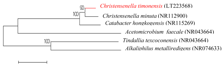 Fig. 1