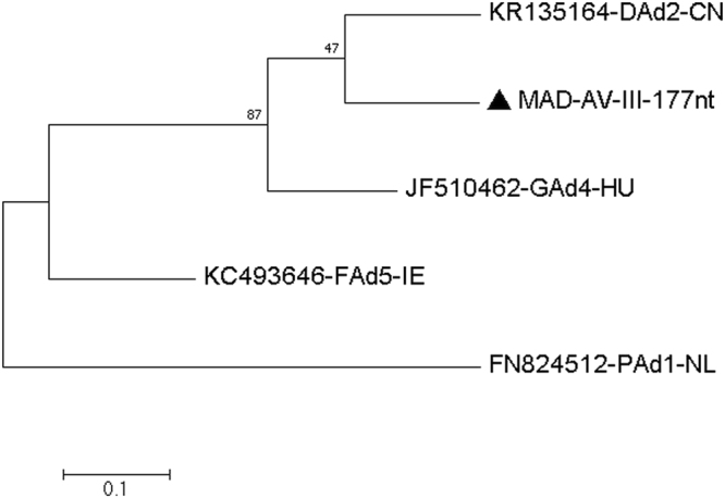 Figure 9