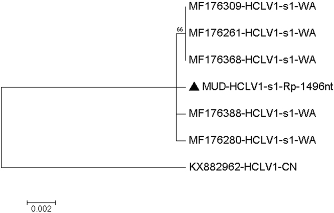 Figure 11