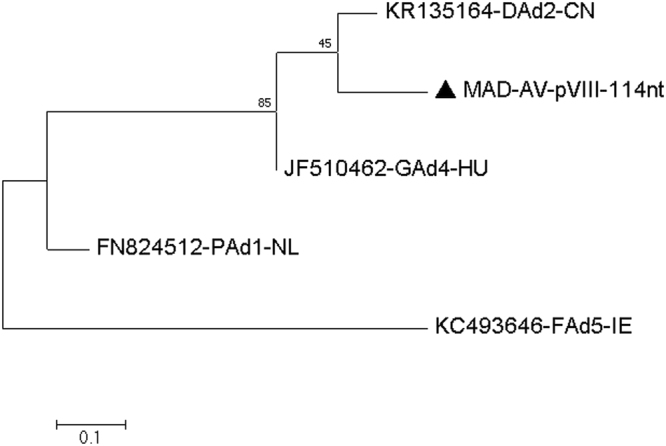 Figure 10