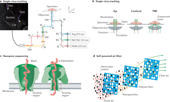 Fig. 2