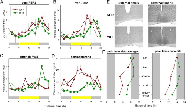 Fig. 3.