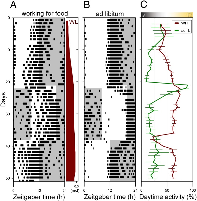 Fig. 2.