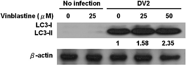 Supplementary Fig 2