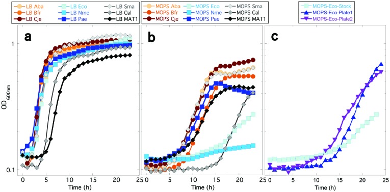 Fig. 2.