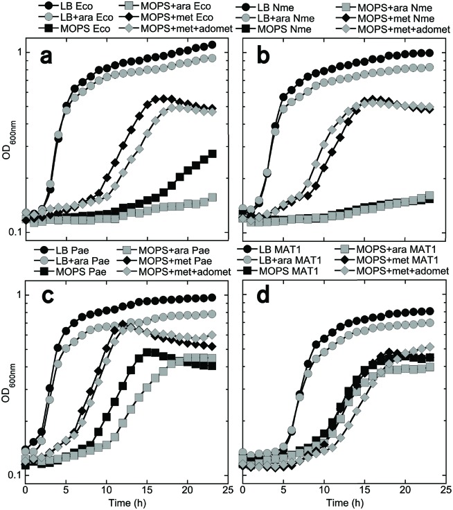 Fig. 4.