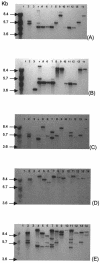 FIG. 1.