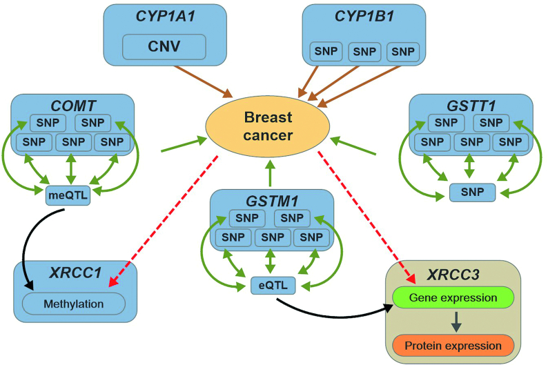 Figure 2: