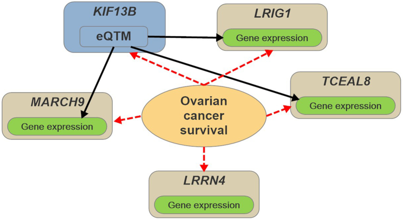 Figure 4: