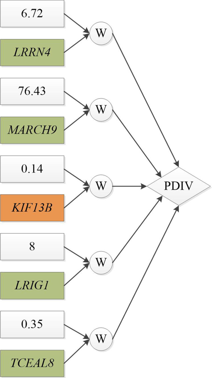 Figure 3: