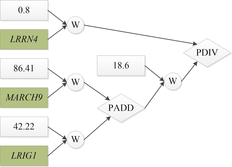 Figure 5: