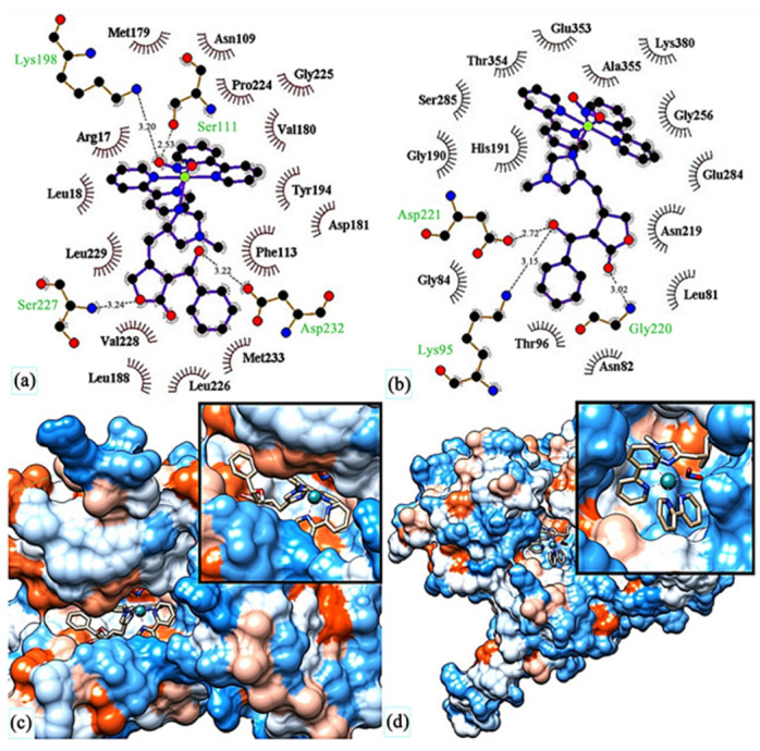 Figure 29