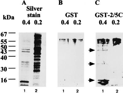 FIG. 6