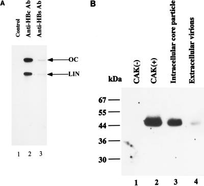 FIG. 8