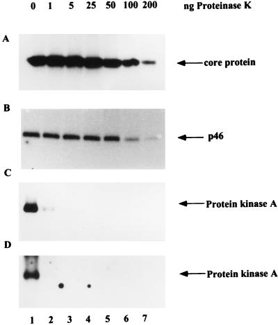 FIG. 10