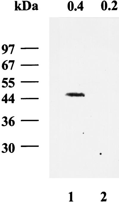 FIG. 7