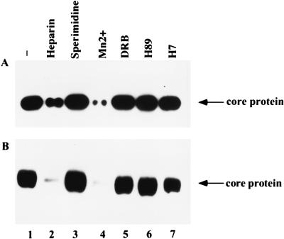 FIG. 9