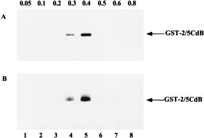 FIG. 5