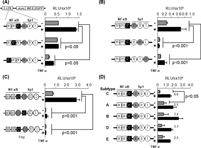 FIG 3