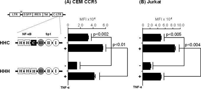 FIG 8