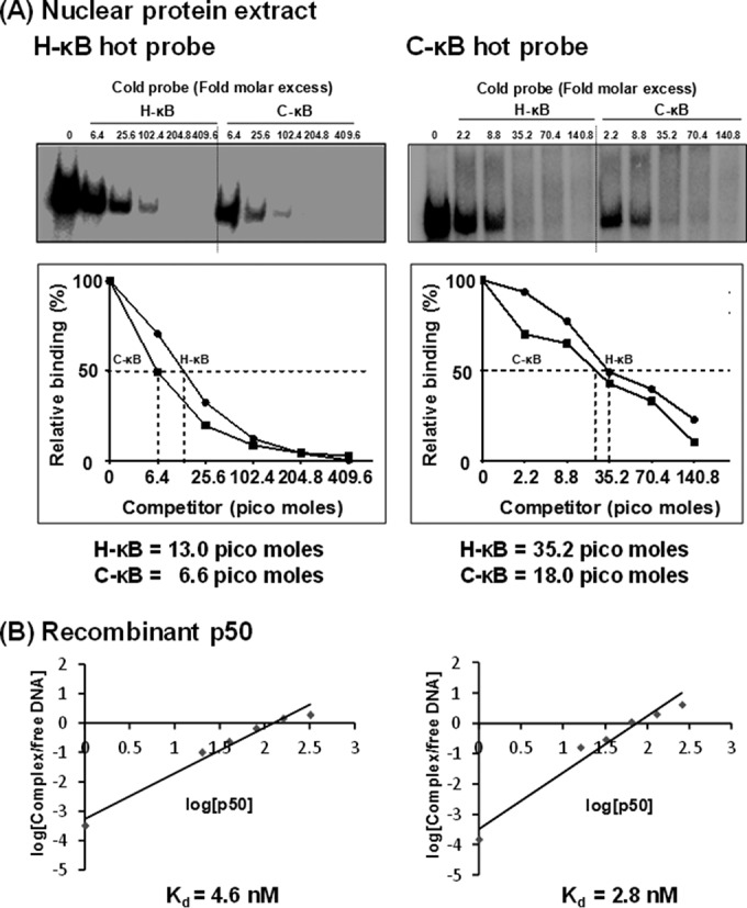 FIG 6