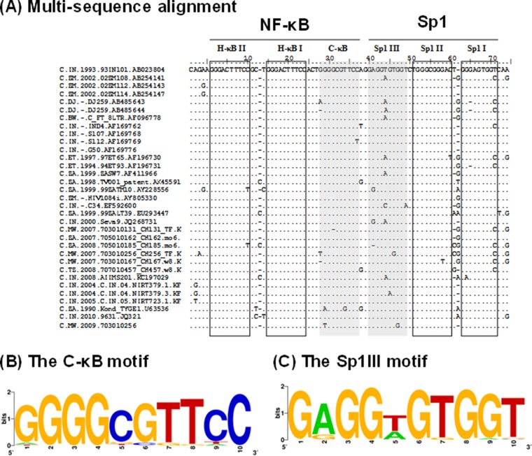 FIG 2