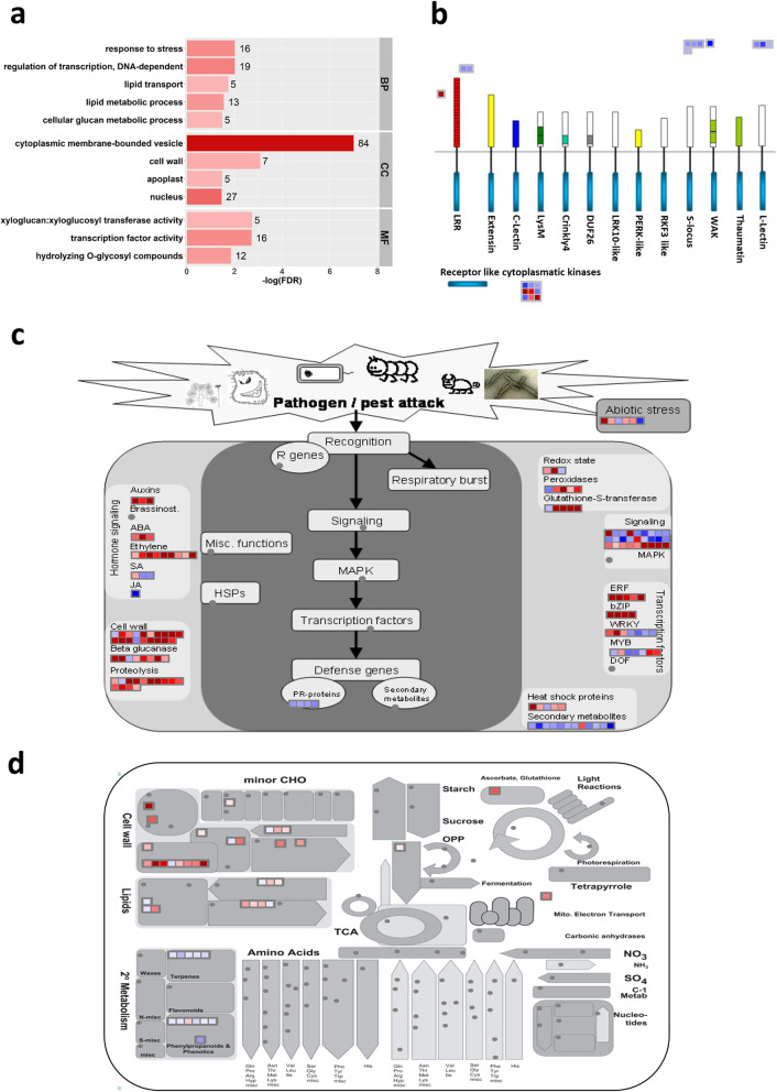 Fig. 6