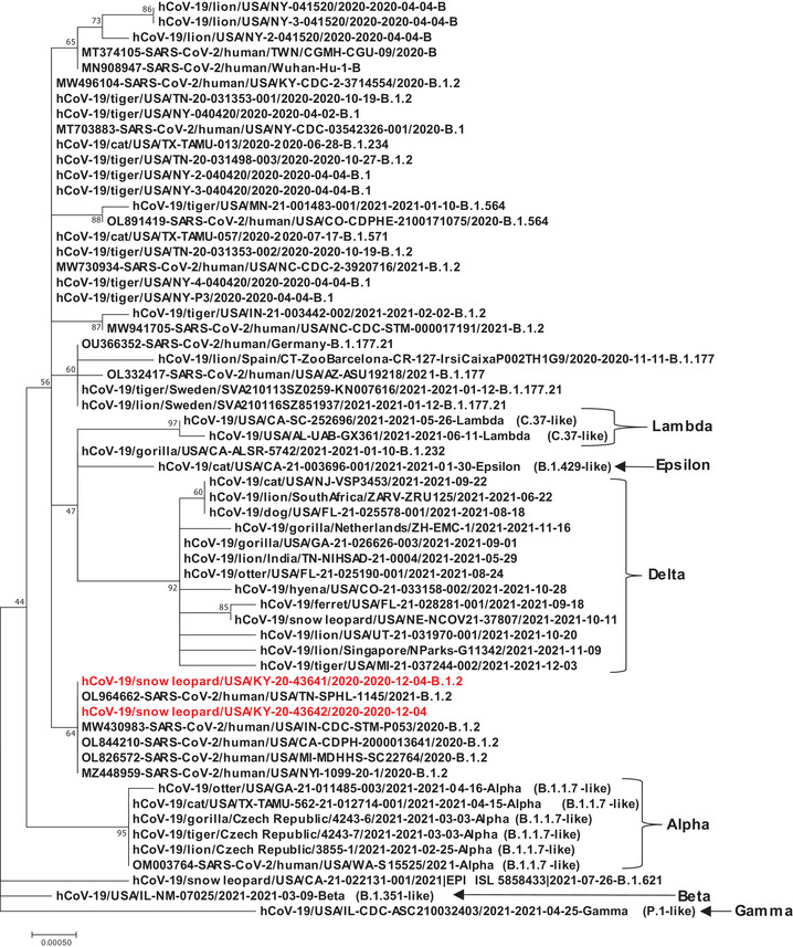 FIGURE 1