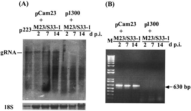 FIG. 5.