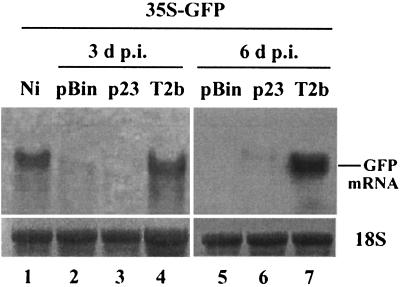 FIG. 7.