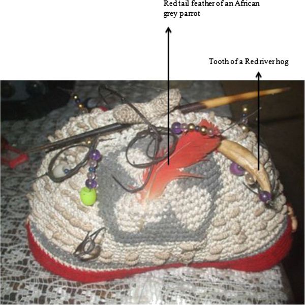 Figure 13