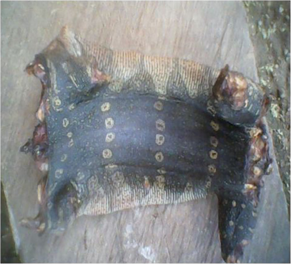 Figure 22